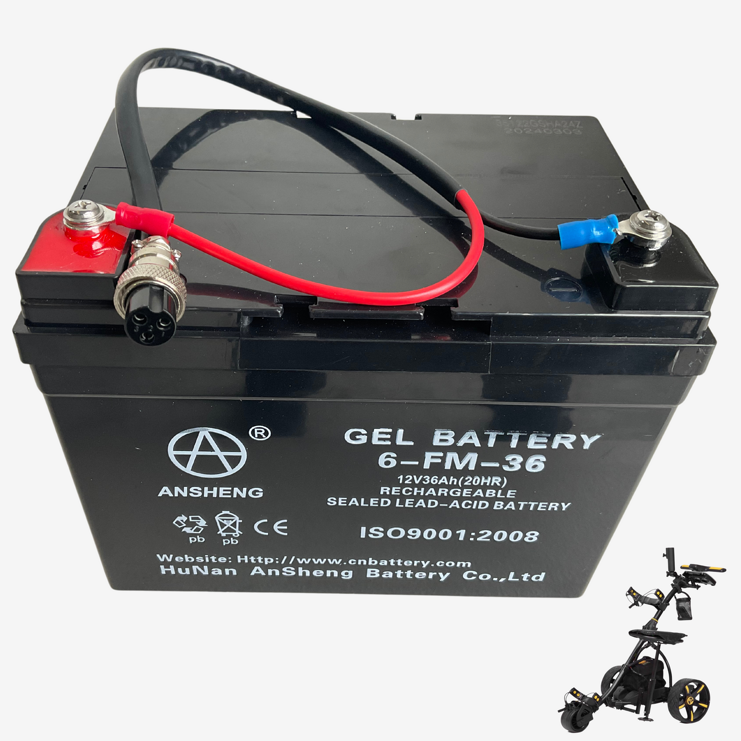 Replacement Battery Kasa Golf Buggy 12V 36ah Suitable for S7-R & S7-E Buggy