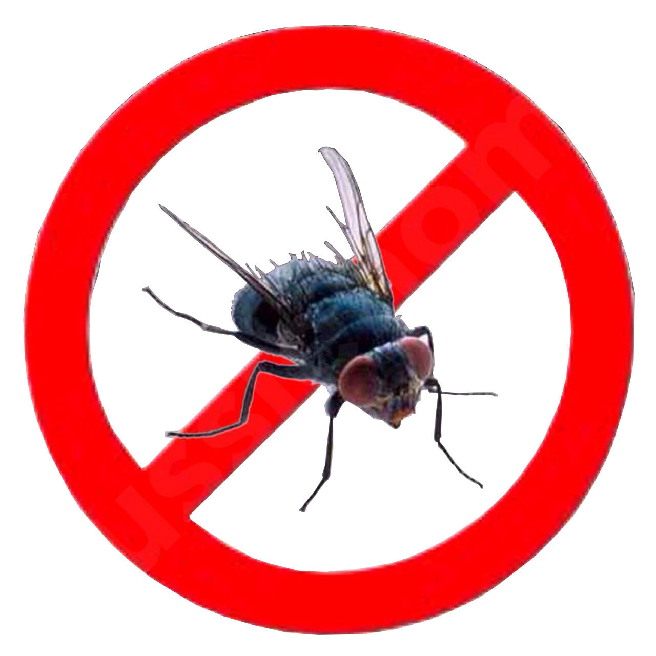 NEW FORMULA DISPOSABLE FLY TRAP SAFE NON-TOXIC BAIT FLIES INSECT KILLER GARDEN!!