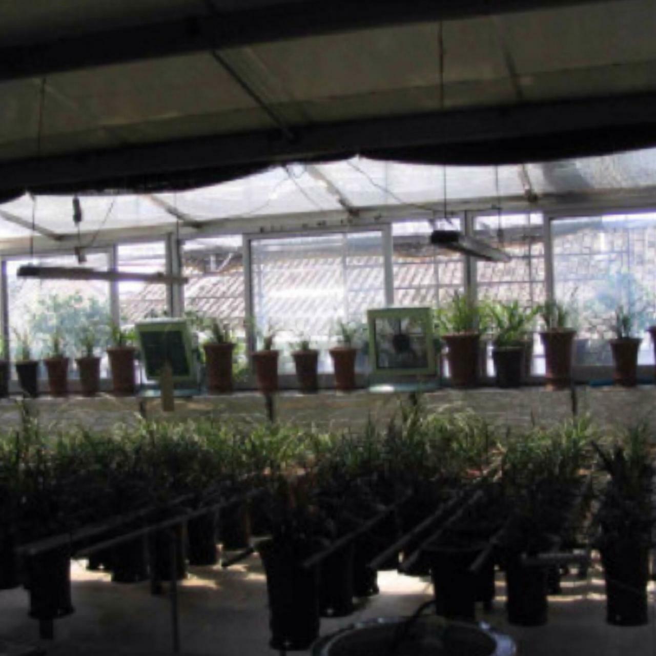 90% BLACK Shade Cloth Greenhouse Scaffold Fencing Mesh 200 1.83 x 30m