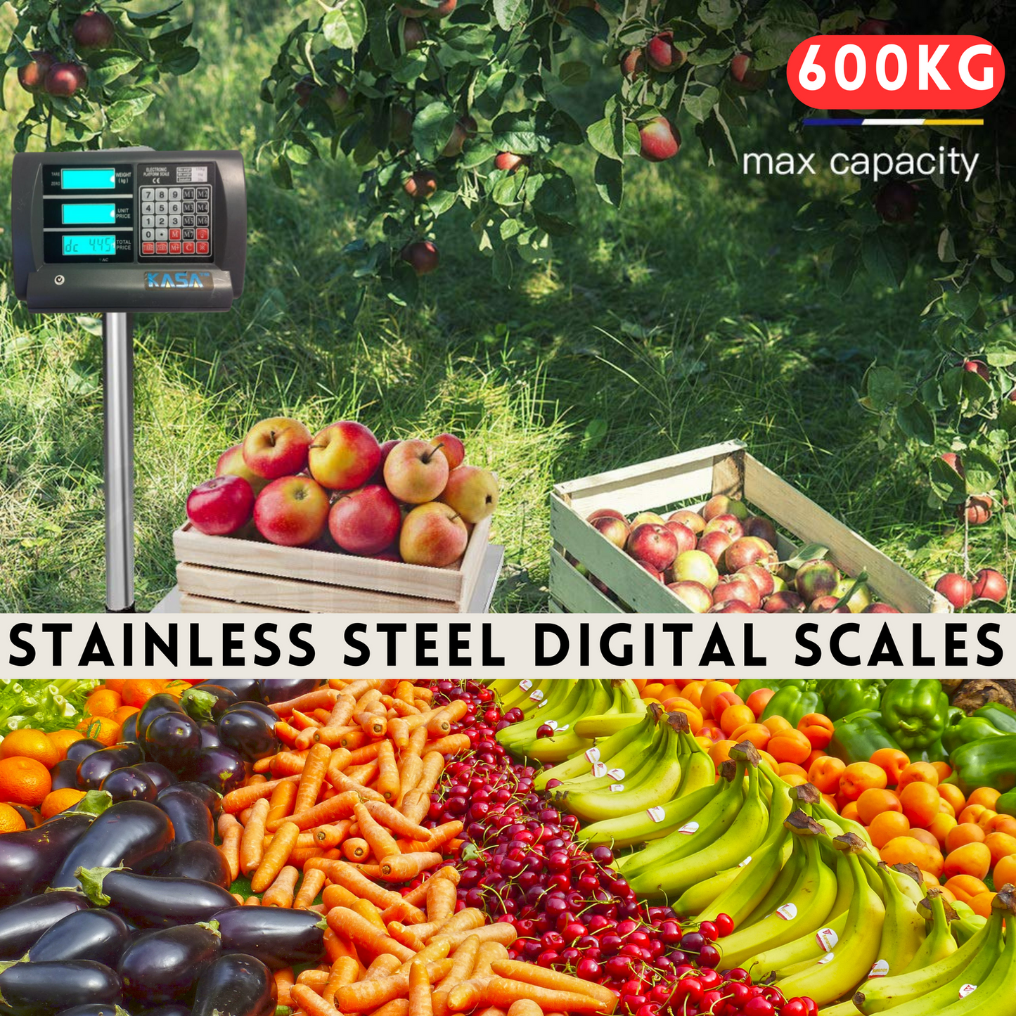 Digital Platform Postal Parcel Scale 600 Kg Electronic Weight Price Computing