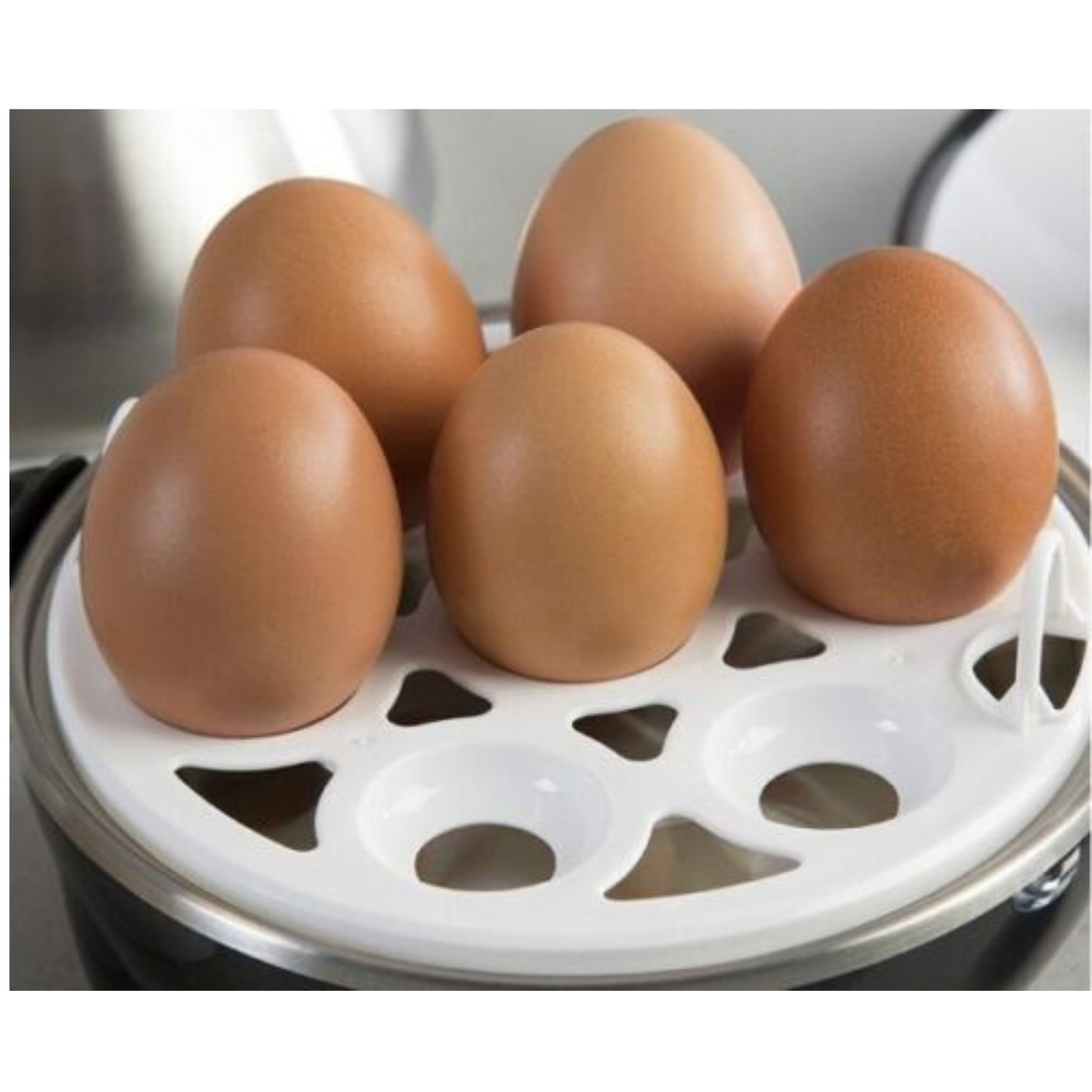 Kasa Egg Boiler 7 Eggs Fully Automatic Electric Soft Hard 2021 Stainless Steel