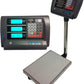 Digital Platform Scales 150KG Commercial Electronic Postal Shop Floor Scale